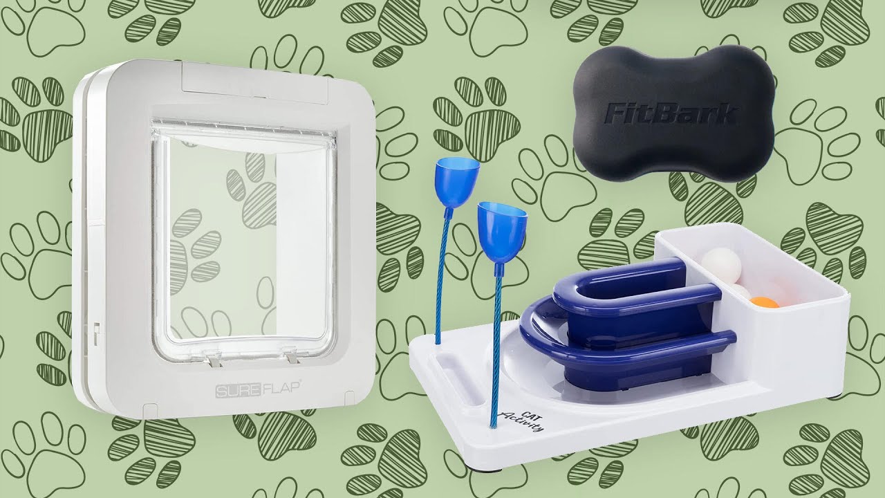 Vet Shares His Favorite Pet Gear, From Toys to a Microchip Pet Door