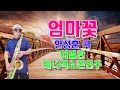 엄마꽃 (안성훈 곡) #허벌란 #테너색소폰 연주 #미스터트롯 #불타는트롯맨 #남승민 #한이재 #홍지윤 #박성온 #송도현