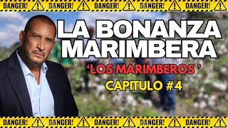 LOS MARIMBEROS| LA BONANZA MARIMBERA| CAPÍTULO 4 