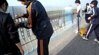 20090502 10
