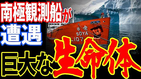 南極観測たい
