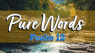 Pure Words Psalm 12
