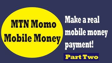 Mobile Money Integration | The Easiest way to Add MTN MOMO Mobile Money API [Part Two]