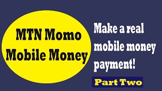 Mobile Money Integration | The Easiest way to Add MTN MOMO Mobile Money API [Part Two] screenshot 4