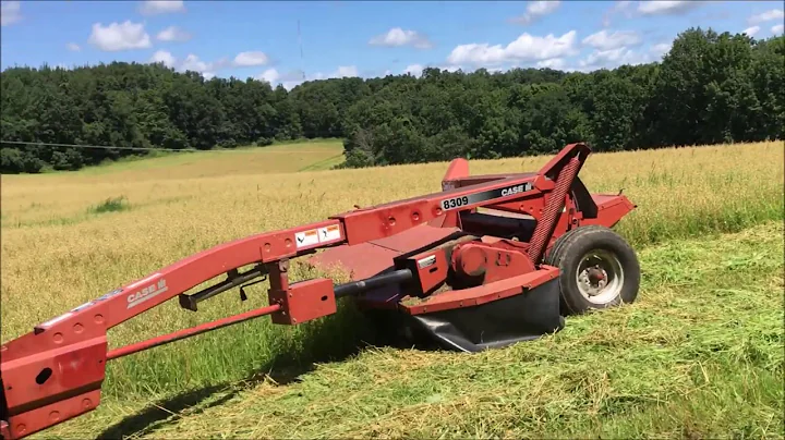 Oats - Baling, thinking about combining