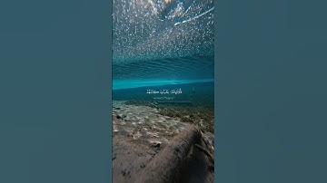 سورة الإسراء الآية ٧١ القارئ محمد صديق المنشاوي