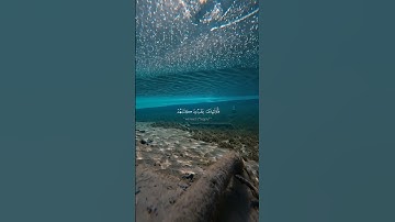 سورة الإسراء الآية ٧١ القارئ محمد صديق المنشاوي