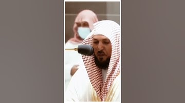 تلاوة مرئية سورة هود الآيات من ٧١ إلى ٧٣ الشيخ ماهر المعيقلي