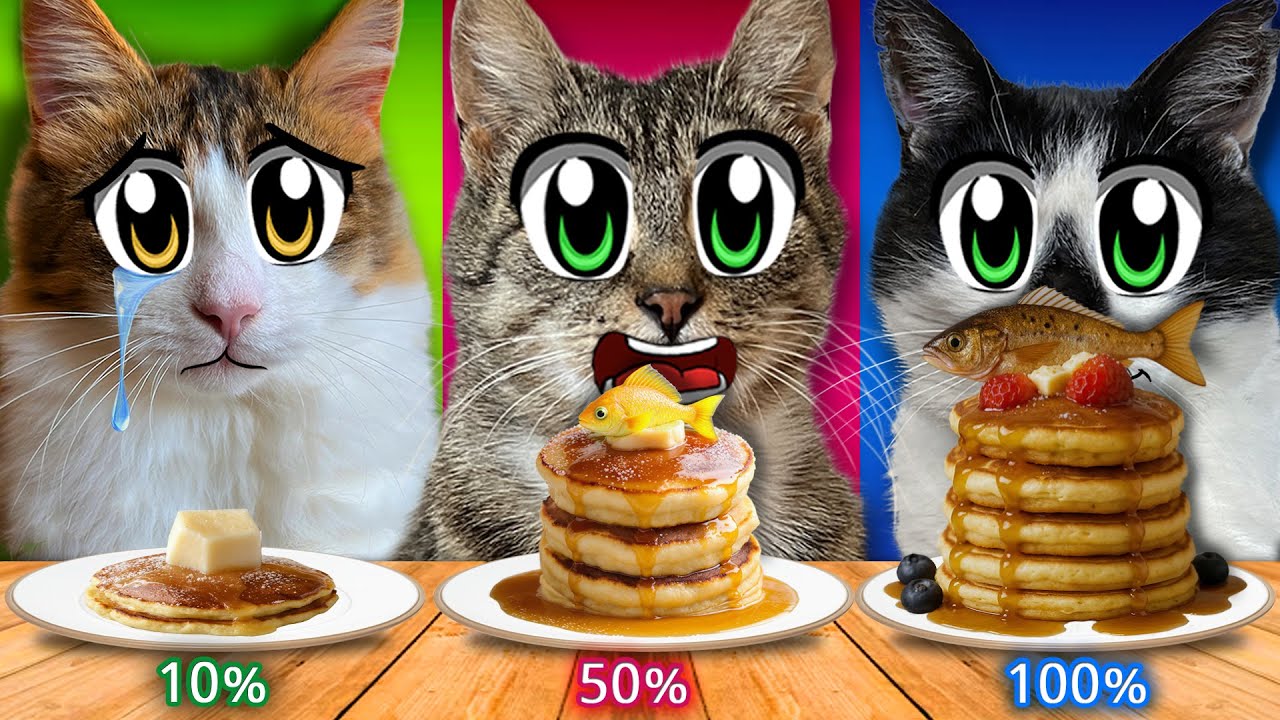 10% VS 50% VS 100% от ЕДЫ ЧЕЛЛЕНДЖ! КТО из КОТОВ ПОБЕДИТ В ЧЕЛЛЕНДЖЕ?