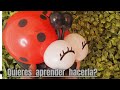 Mariquita 🐞 Con  Globos  GLOBOFLEXIA/MARIQUITA/ LADY BUG BALLOONS / GLOBOS 260/Ladybug Balloons