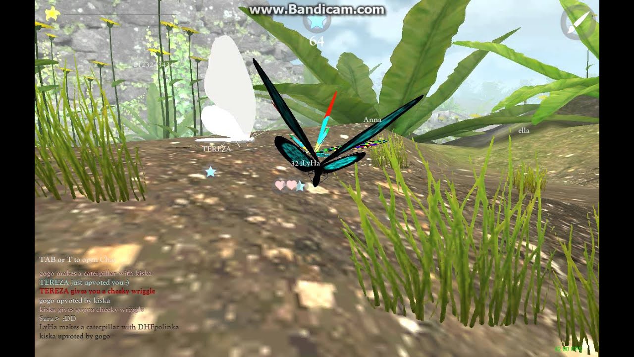 Butterfly Online Games