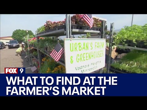 Vídeo: Farmers' Markets em Minneapolis e St. Paul
