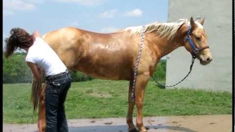 Valley View Ranch - Wilsons Cougarand -   ***For up-to-date info, price, etc., go to our website***