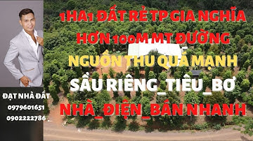 1ha1 có 100m mt đường đất tp gia nghĩa nguồn thu mạnh sầu riêng tiêu quá đẹp giá 3ti4 thương lượng