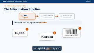 DS101 Lecture 1: Introduction to Information Systems | شرح DS101 بالعربي