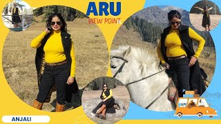 The Most Expensive Pony Ride Ever