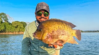Pesca de Mojarra ENORME morruda en Tabasco 