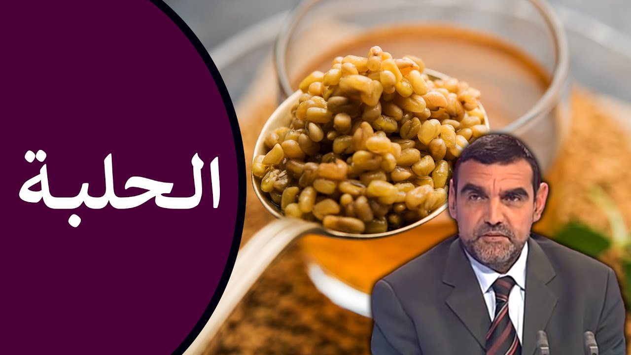 🔸 الحلبة 🌿 فوائدها : للسكري، للغازات، لسوء الهضم، ولفقر الدم 🍃 د. محمد الفايد #نخل_ورمان_ملخص