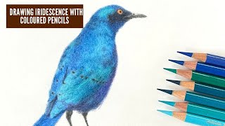 Drawing Iridescence with Coloured Pencils