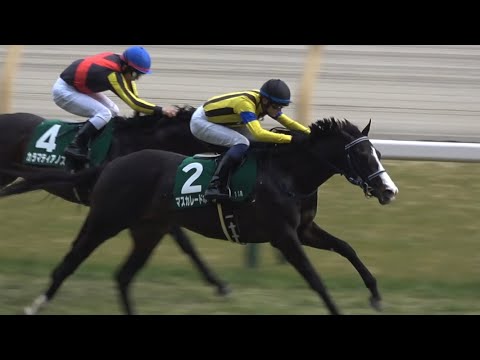 現地】2025 G3 共同通信杯 マスカレードボール 坂井 瑠星【東京競馬場