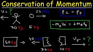 Conservation of Momentum Physics Problems - Basic Introduction