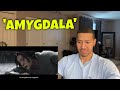 Agust D &#39;AMYGDALA&#39; Official MV (REACTION)