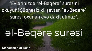 şeytan Bəqərə surəsi oxunan evə daxil olmaz / Bərəqə surəsi - Mohammed Al Fakih /  سورة البقرة