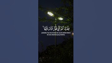 #quran اكسبلور #المصحف # #راحة_نفسية  #youtube #قرآن #قران_كريم #explore #edit #تلاوة_خاشعة
