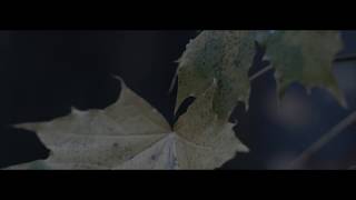 Download Lagu AK - Autumn is Here MP3