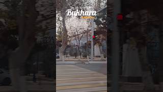 🇺🇿 BUKHARA TRAVEL DOCUMENTARY A JOURNEY INTO THE HEART OF THE SILK ROAD