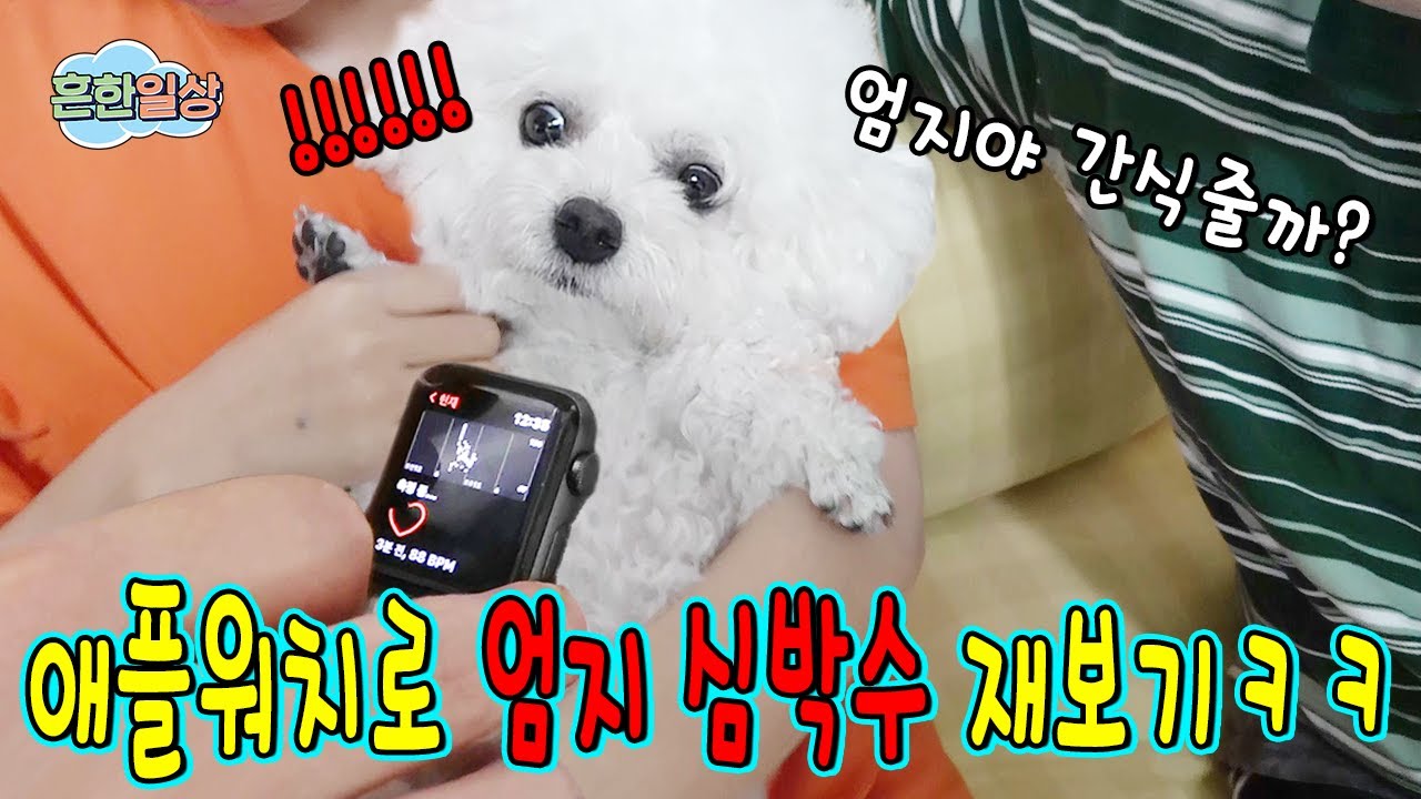 엄지의 심박을 재려고 하다가 알게된 충격사실....ㅋㅋㅋ