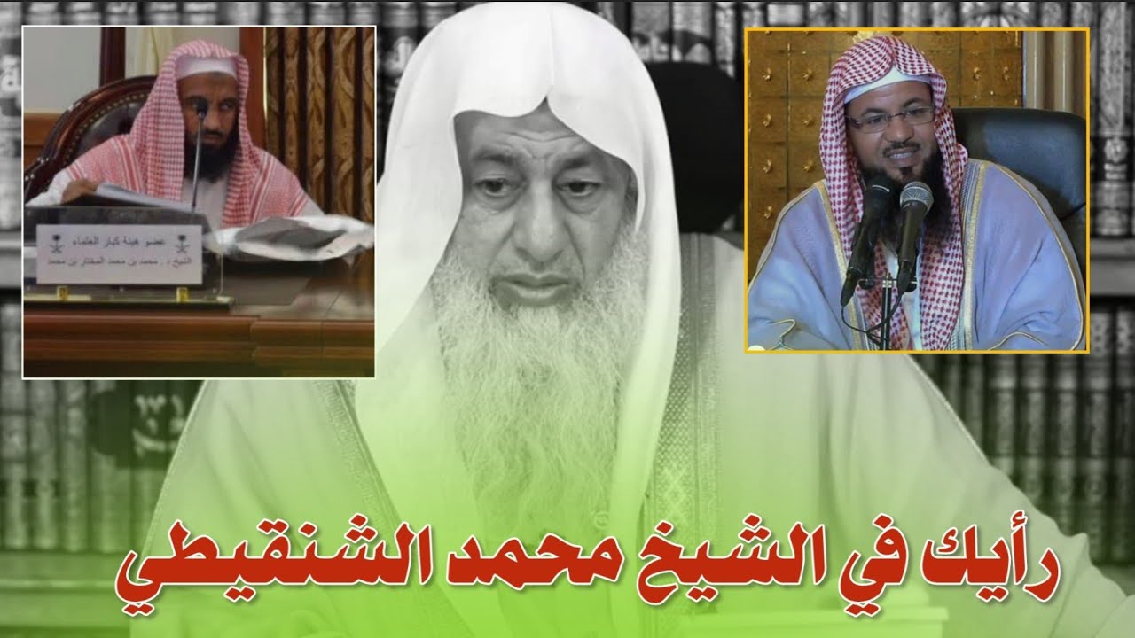 رأيك في الشيخ محمد الشنقيطي .. الشيخ مصطفى العدوي 
