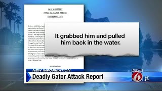 Deadly gator attack report