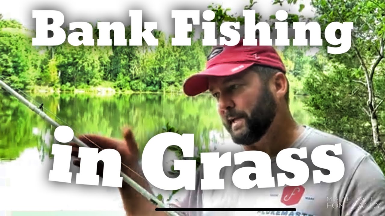 Bank Fishing for Bass How to fish Grass Lakes YouTube