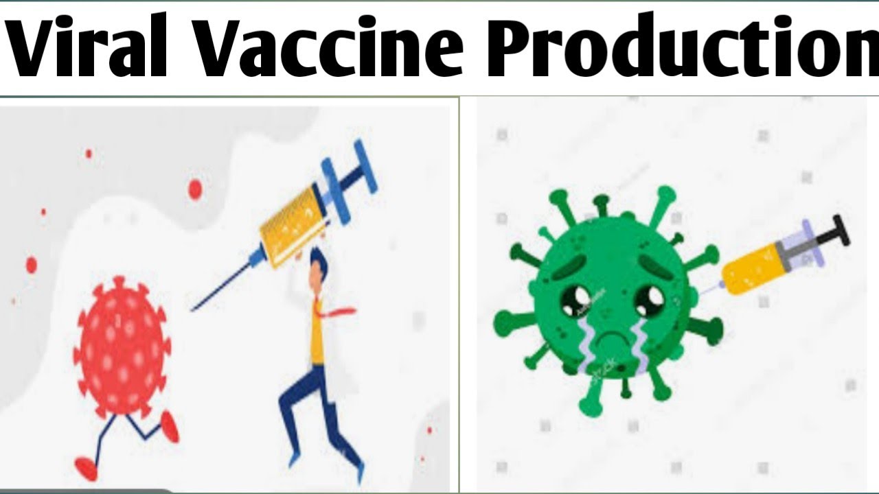 Viral Vaccine Production| Biotechnology|Unit 3| B. Pharm 6 Sem # ...