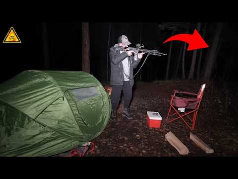 6 Encontros Mais PERTURBADORES de Acampamento na Floresta Capturados Pela Câmera!