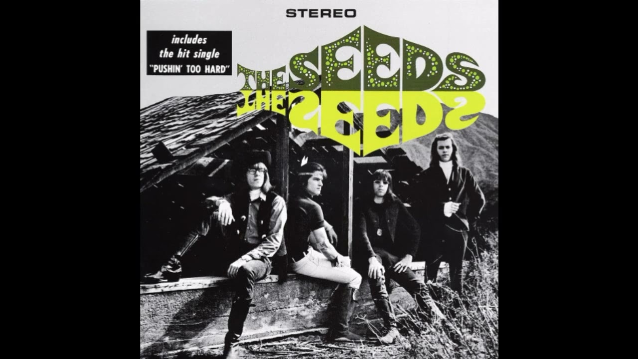 The Seeds - The Seeds 1966 (Full Album Vinyl 2003) - YouTube