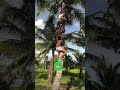 Bee sabak challenge!Wait for last seen!Short videos! #top #foryou #shortvideo #comedy #funnyvideo