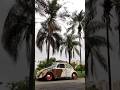 A vida é muito curta para se importar com a opinião dos outros!  #fusca #fuscalovers #ratlook