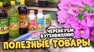 Секреты укоренения черенков. Полезные товары для дачников