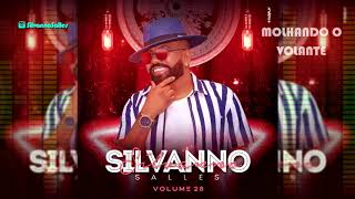 MOLHANDO O VOLANTE - SILVANNO SALLES VOL. 28