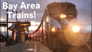 Bay Area Trains! Caltrain, ACE, Amtrak and more!!