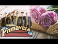 Conjunto Primavera Exitos Romanticos - Puras Romanticas...Pegaditas