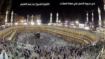 تلاوة عطرة من سورة النمل بصوت الشيخ بدر عبد العليم بدر (.  صلاة العشاء )