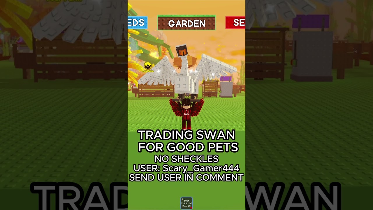 Swan Trading For Good Pets | Grow A Garden 