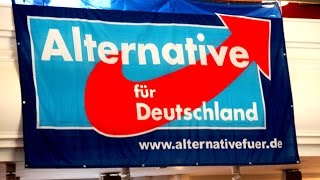 AfD Erfolg 2017 könnte funktionieren - Interessante Doku klärt alles auf