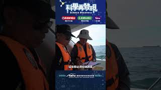 《實習生的筆記本》亞太離岸風電 #科學再發現