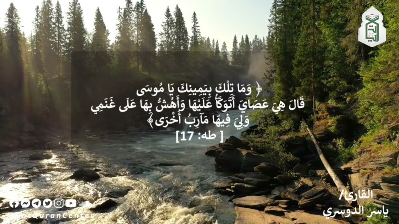 المحب يطيل الكلام مع ربه | ساعة إجابة | الشيخ محمد خيري