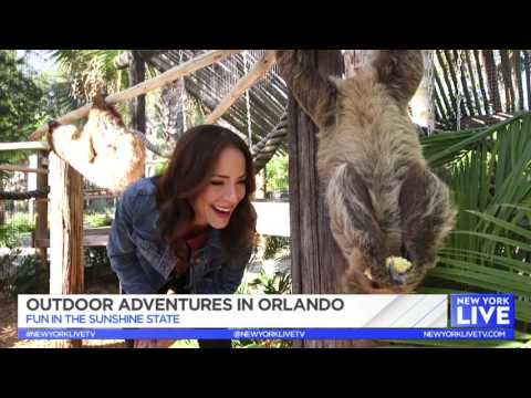 2017 NBC Live Orlando Outdoor adventures by MCOSunshine