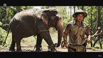 They Fought a GIANT PYTHON to Save a Mother Elephant! | Real Jungle Rescue Story 🐘🐍
